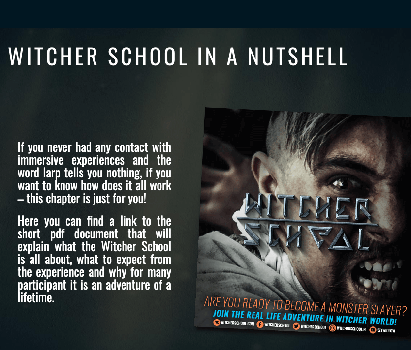 anti-example from the witcher school's landing page