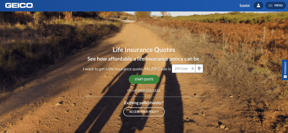 A life insurance lading page made by Geico